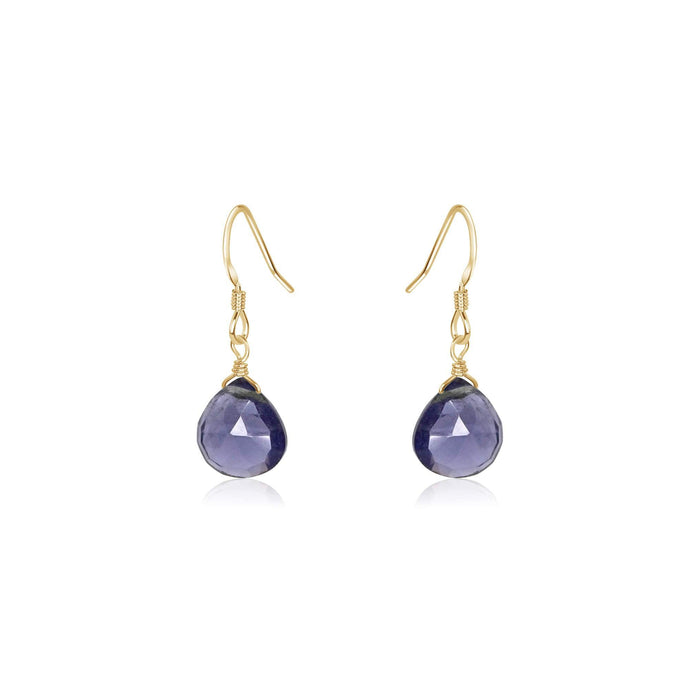 Iolite Gemstone Teardrop Dangle Earrings - Iolite Gemstone Teardrop Dangle Earrings - 14k Gold Fill - Luna Tide Handmade Crystal Jewellery